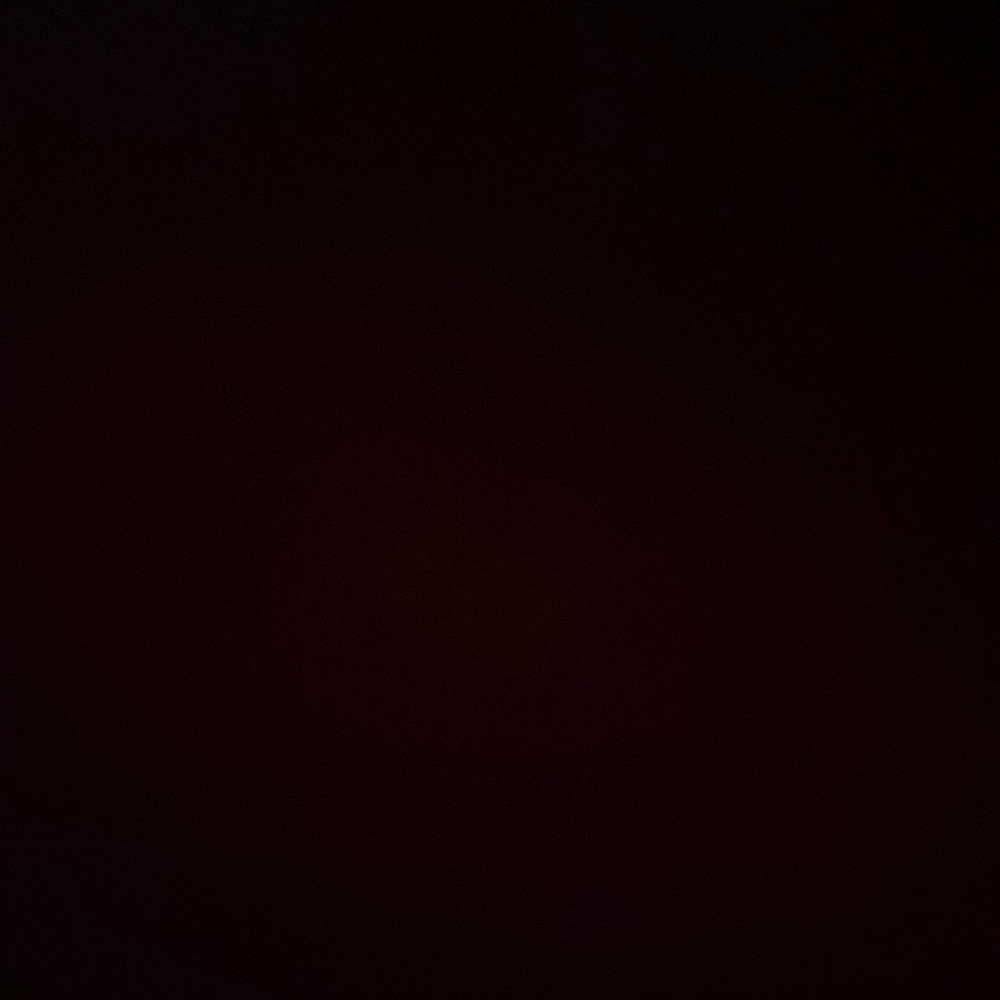 Meet your Posher, Ophelia